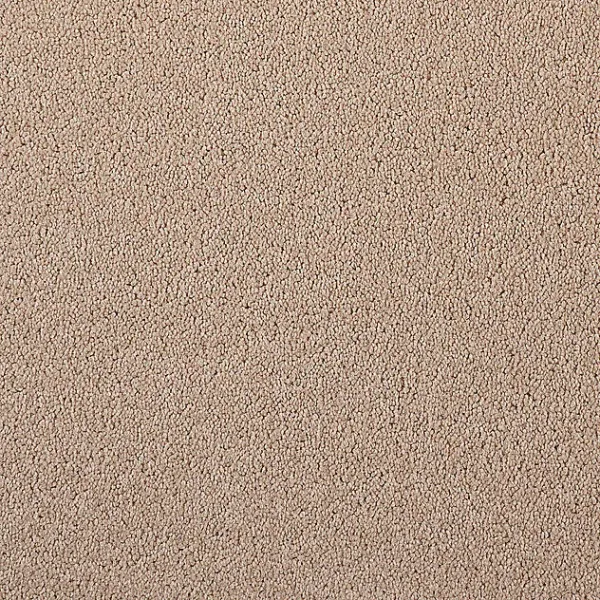 Girloon Body Teppichboden 841 sanddorn – Draufsicht